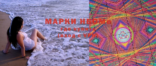 индика Алзамай