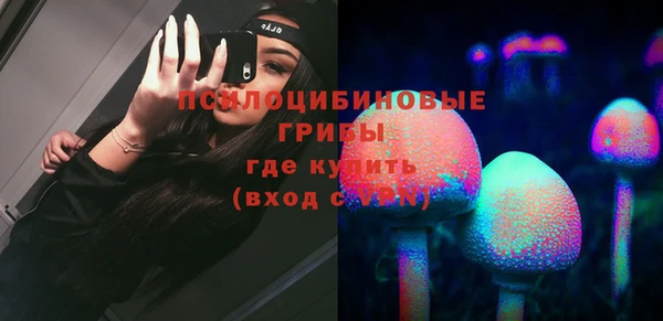 МДПВ Алексеевка