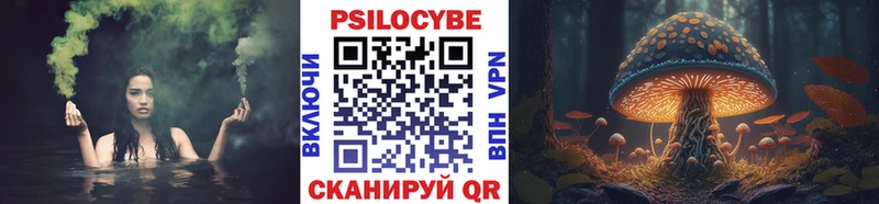 Псилоцибиновые грибы мицелий  закладка  mega   Грайворон 
